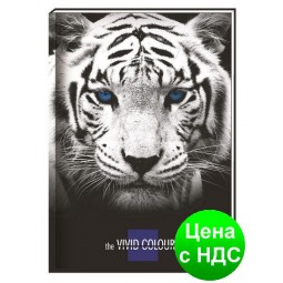 Блокнот "Vivid Colours" А5, 80 листов, карт./порол.,клет., "тигр"  CF21200-02