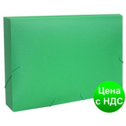 Папка-бокс пластиковая А4 на резинке Economix, 60 мм, фактура "діамант", зеленая E31405-04
