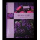 Книга канцелярська "BOHO CHIC" 96арк.кл.оф.(тб. лам. обл), А4, фіолетовий
