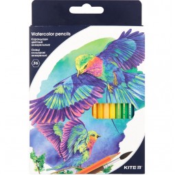 Карандаши цветные акварельные, 36 шт., Kite "Птицы"