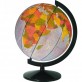 Глобус Физико-политический с подсветкой 320 мм (4820114954077)