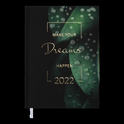 Ежедневник датированный  2022 MAGIС, A5, зеленый