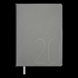 Ежедневник датированный  2022 STEEL, A5, серебряний, иск.кожа