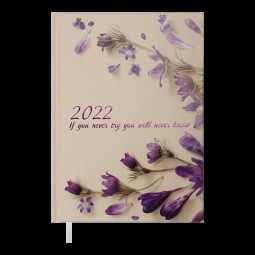 Ежедневник датированный  2022 SPOLETO, A5, персиковый