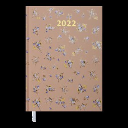 Ежедневник датированный  2022 PROVENCE, A5, бежевый